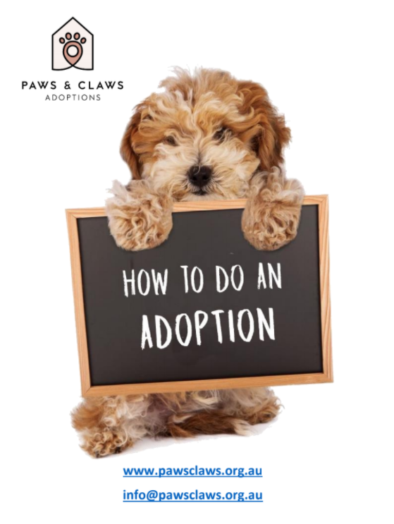 How to do an Adoption Booklet