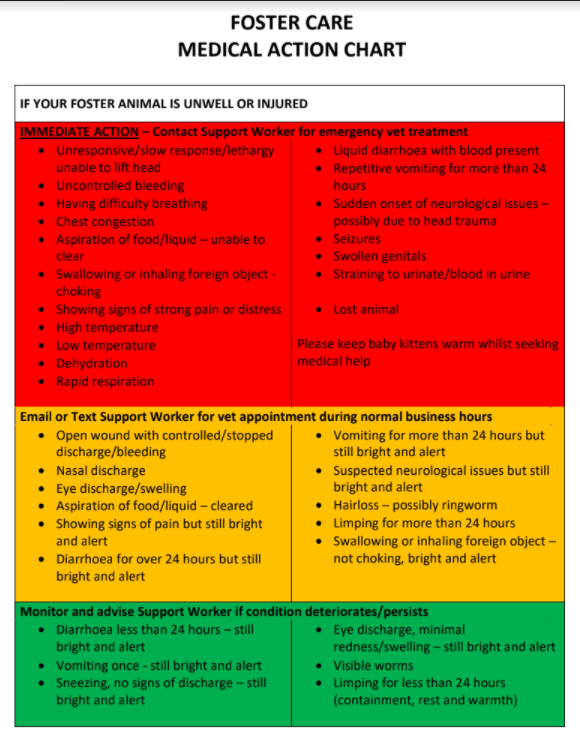Foster Carer Medical Action Chart